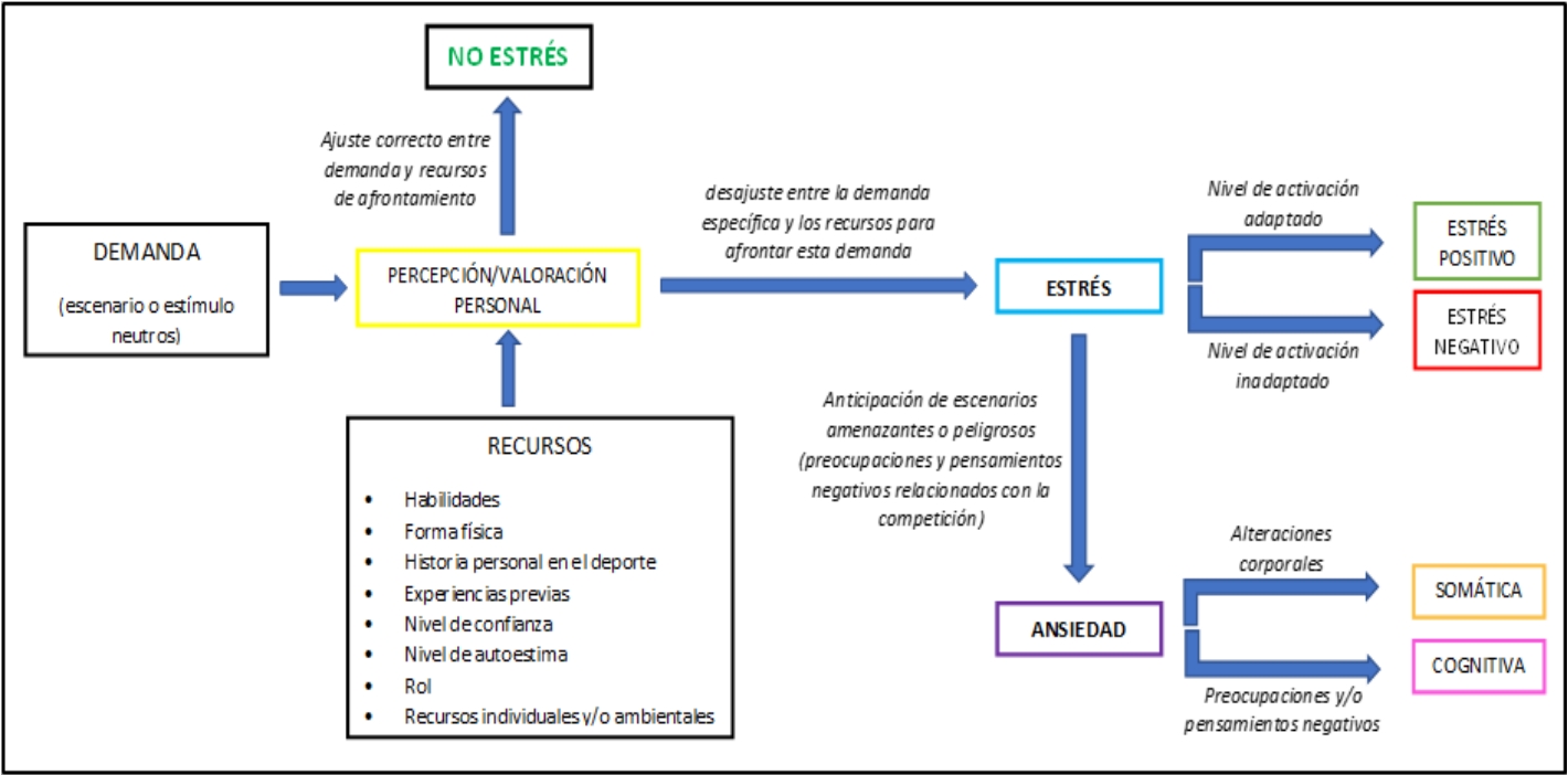 Presión deportiva en el deporte infantil